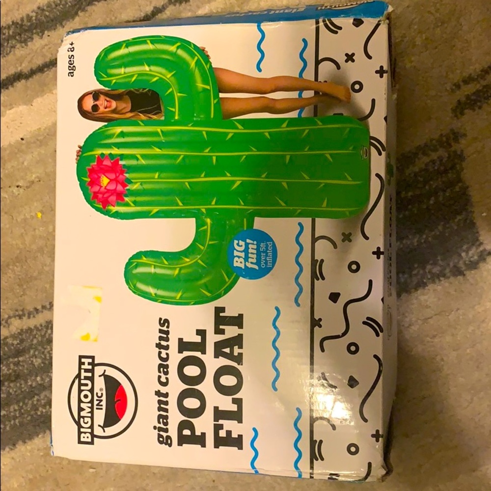 COPY - giant cactus pool float